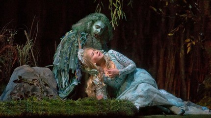 Автор фото — Ken Howard / Metropolitan Opera