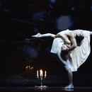 Мировая премьера балета Джона Ноймайера «Стеклянный зверинец»
