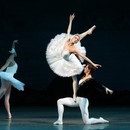 Всемирный день балета в Мариинском театре