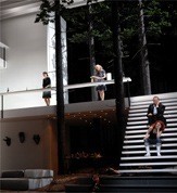 Милые мои, солнышки лесные