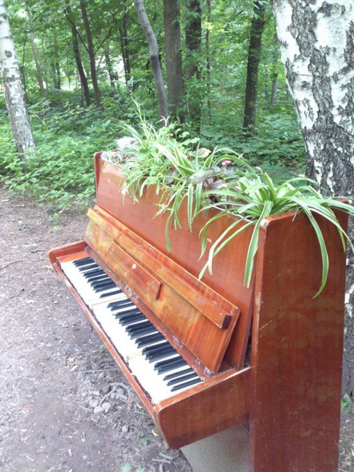 Новая культурная политика