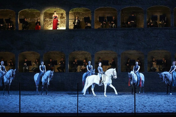 Лошади-балерины станцевали Моцарта в до миноре