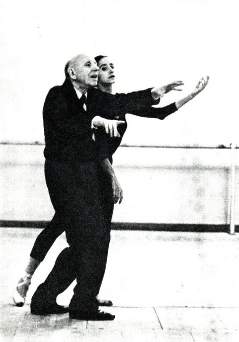 От змеи до розы