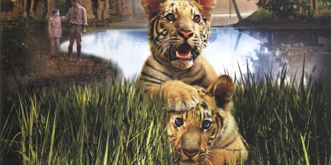 Судьба в полоску