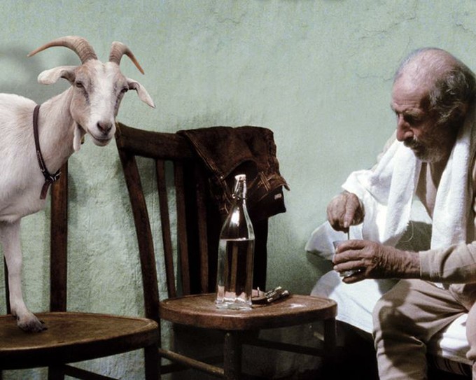 Переселенье душ по-калабрийски