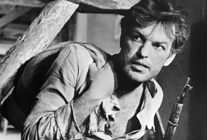 Регимантас Адомайтис: порода и голливудский образец