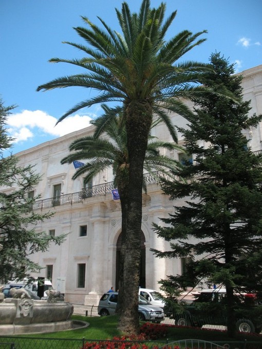 «Осознание власти» как фестивальная стратегия