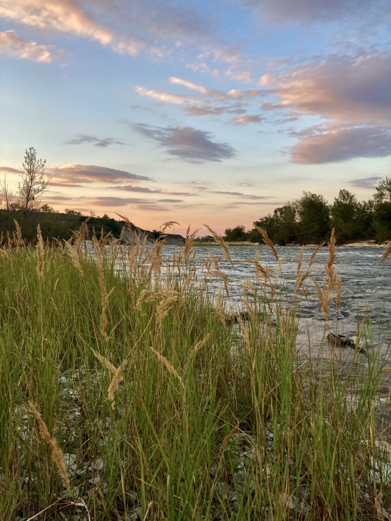 Река Зеленчук (лето 2025 г.)