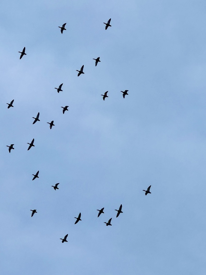 Январь 2026 г.